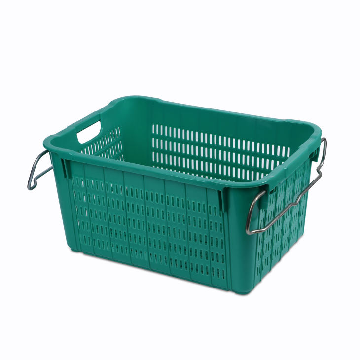 铁耳菜箩 铁耳菜箩